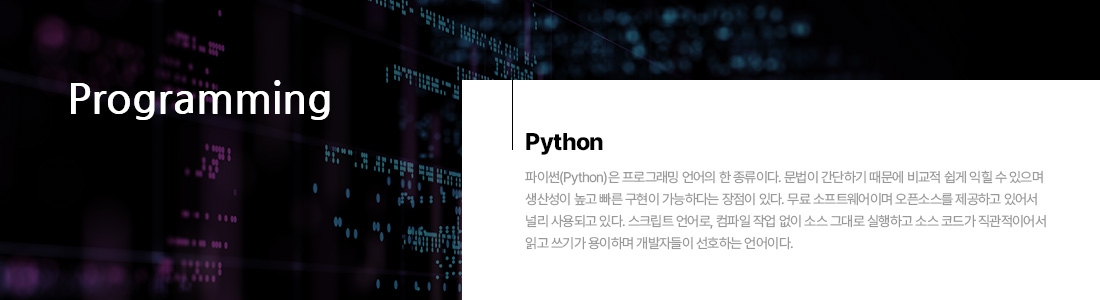 Python 기초